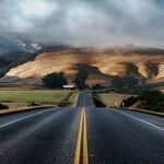 To Stay or Go?