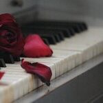 A Distant Companion
