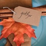 Feeling Snubbed on Thanksgiving
