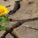 Choosing Positivity