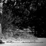 Weary Widow Worries for Husband's Health