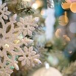 Celebrating Gratitude This Holiday Season