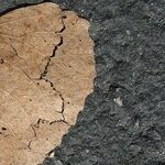 A Man's Loss Touches Readers