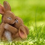 Spring Has Sprung