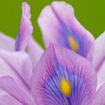 Wisdom and Grace Emerge From Troubled Childhood