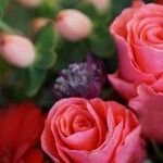 Crowded Marriage Makes Me Uncomfortable