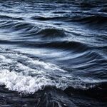 Hitting Rough Seas on a Friendly Cruise