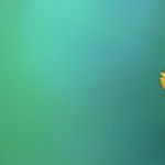 Inspiration for Introverts