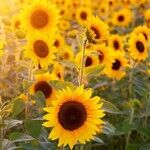 Is My Family Entitled To My Inheritance?