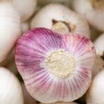 Garlic Allergy Gets Me Gaslit