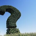 Dumfounded by Daughter-in-Law