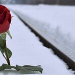 Grieving Girlfriend Needs Time