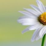 Suicide Survivor Shares Resources to Help