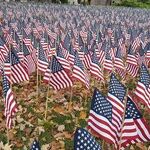 Honoring Our Veterans