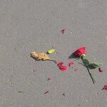 Breaking the Cycle of Guilt and Pain