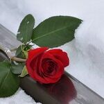 How Do I Support My Friend During Divorce?