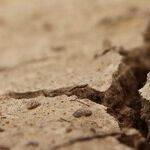 Struggling to Rebuild Family After Ugly Divorce