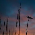 Survivor of Trauma Is Stronger Than Ever