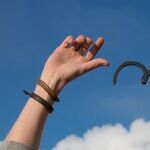 Managing a Family Disease