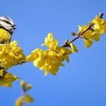 Enjoying the Spring Season