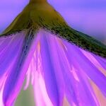 Assumptions Disrupting Friendship