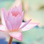 Give Yourself the Gift of Forgiveness