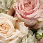 Daughter's Wedding Vision Is Not Up To Par