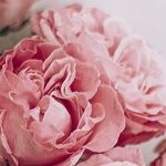 Am I Willing to Be Unwed?