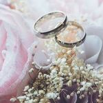 Uninvited Guests Threaten Wedding Day Fun