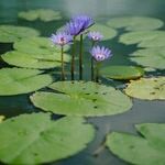 The Need for Personal Responsibility
