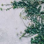 How Can I Connect With My Estranged Children?
