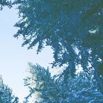 Navigating Family Bonds With Care and Concern