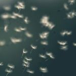 Making Peace With Family Estrangement