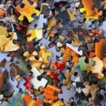 Husband Lacks Experience Parenting Autistic Daughter
