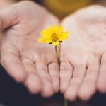 Gifts of Love: Creating Memories and Teaching Values
