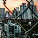 Struggling to Make and Keep Friends in a New City