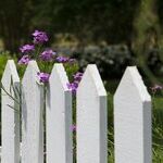 Neighbor Threatens a 40-Year Marriage