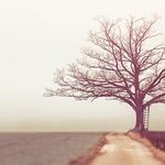 Rebuilding Trust After an Affair