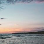Healing After Accusations and Heartbreak