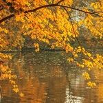 Thoughts for Autumn