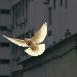 Choosing Peace Over Family Drama