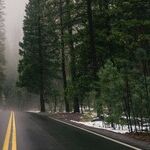 Navigating Family Dynamics With Grace