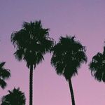 Navigating Family Jealousy Without Changing Your Lifestyle