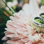 When Is It Too Late to Heal a Marriage?