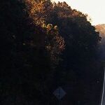 Navigating a Blended Family
