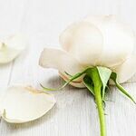 A Mother's Heartache: Reaching Out to My Son