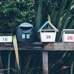 Living in Fear of My Neighbor