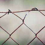 Toxic Family Ties and Setting Boundaries