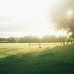 Caring for My Husband, Battling His Family