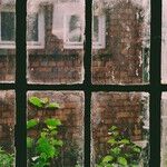When Your Child Shuts You Out